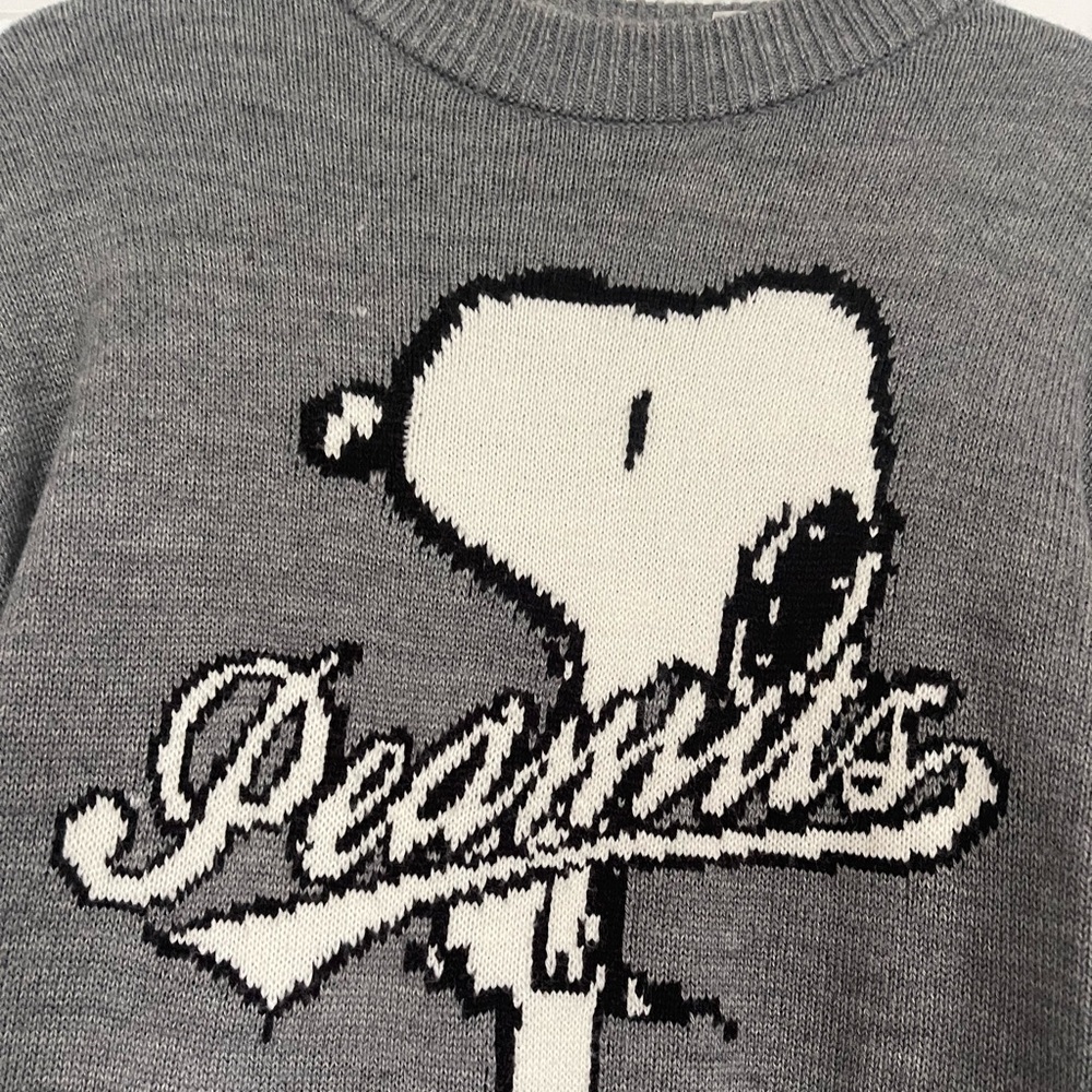 H&M Gray Snoopy Peanuts Knit Sweater - Picture 6 of 13